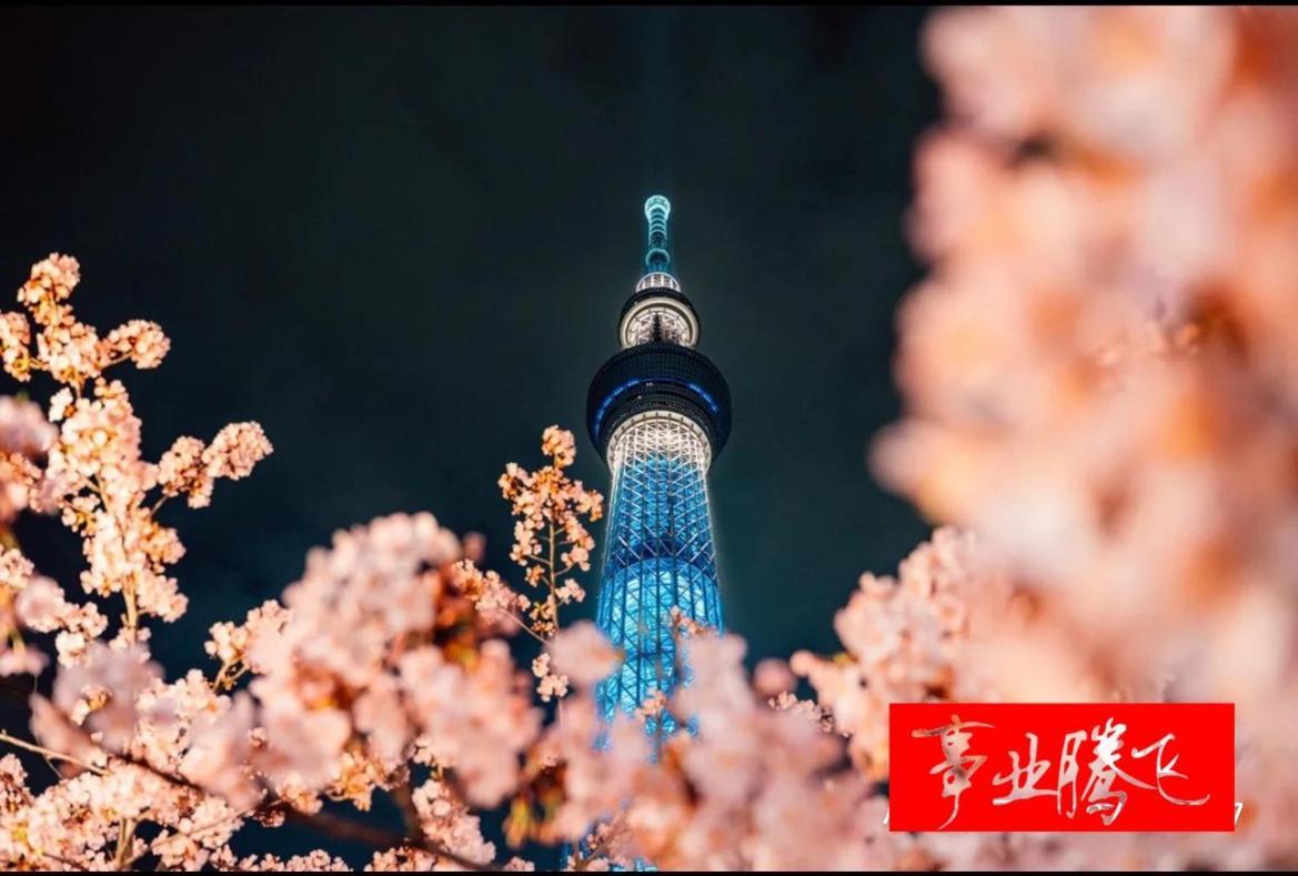 Sky House 晴空塔103 Appartement Tōkyō